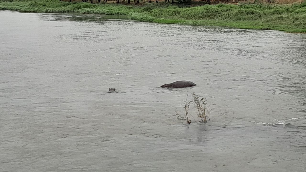 photo 13 2026 03 20 22 01 28