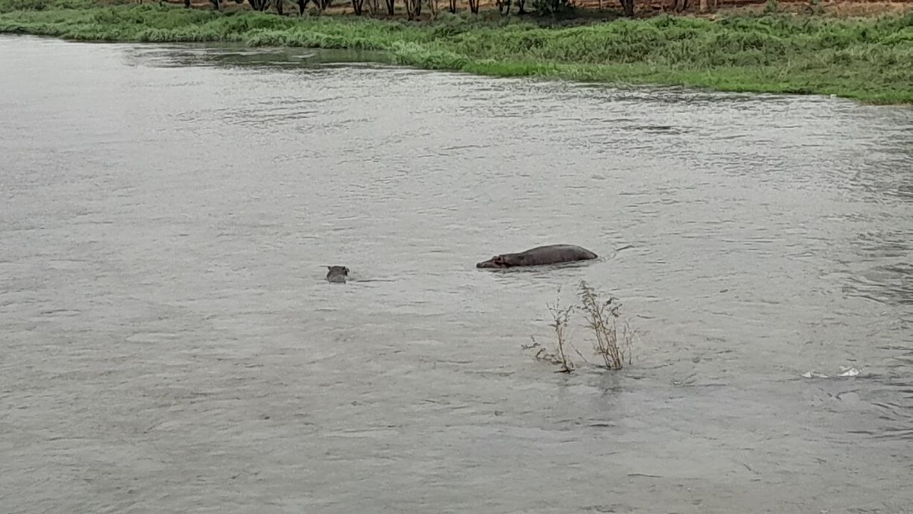 photo 14 2026 03 20 22 01 28