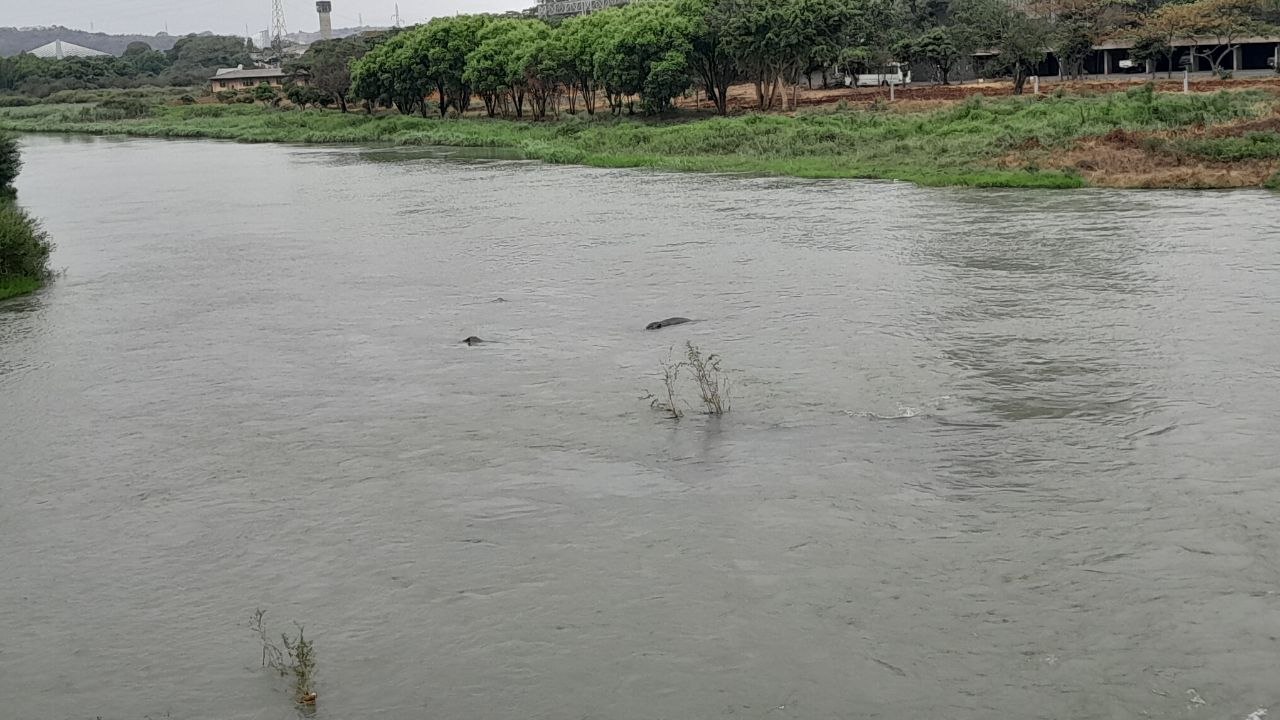 photo 15 2026 03 20 22 01 28