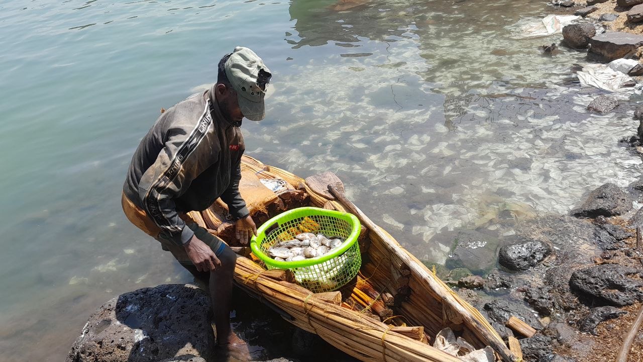 photo 17 2026 03 20 22 01 28