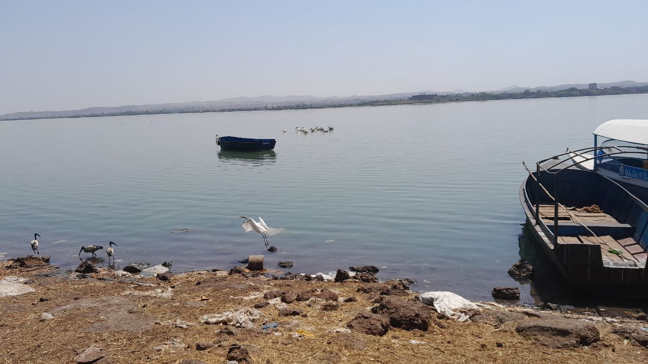 photo 1 2026 03 20 22 01 28