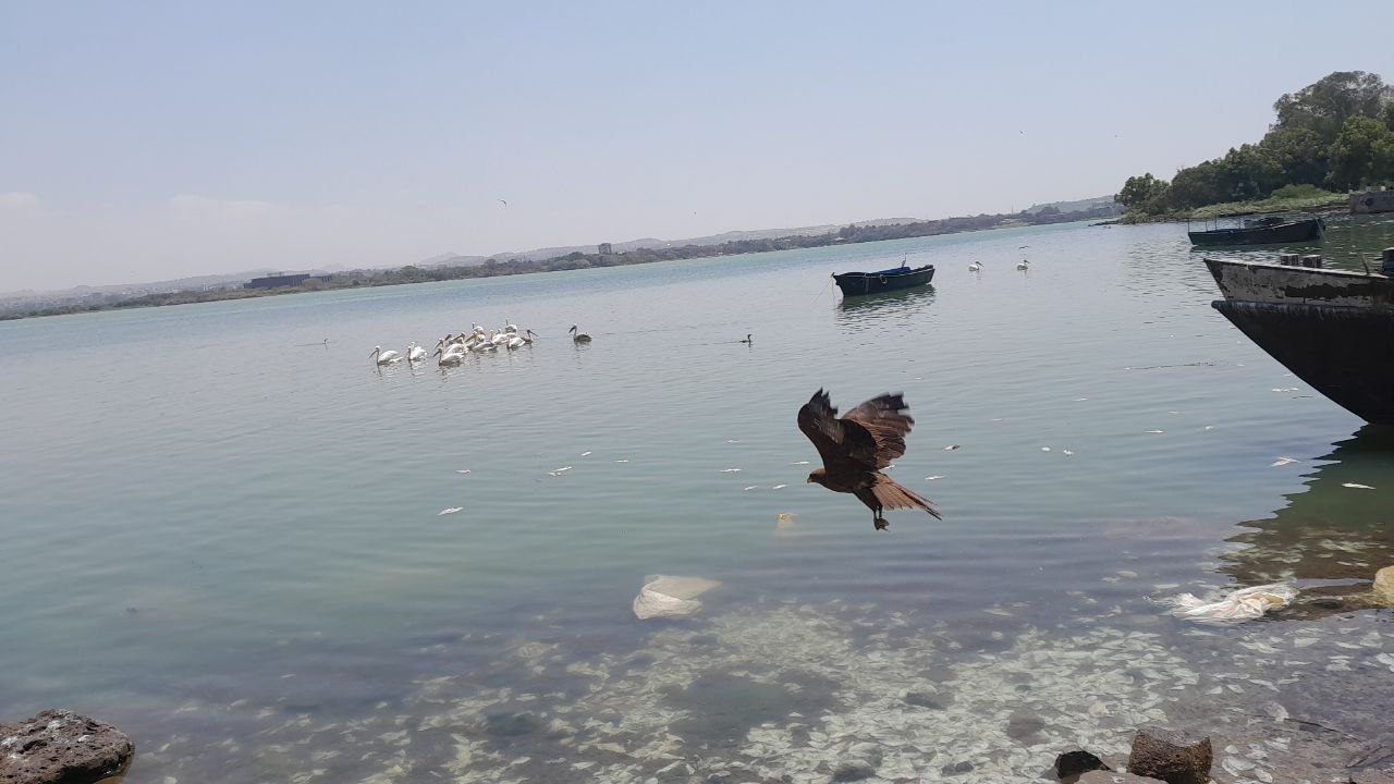 photo 4 2026 03 20 22 01 28