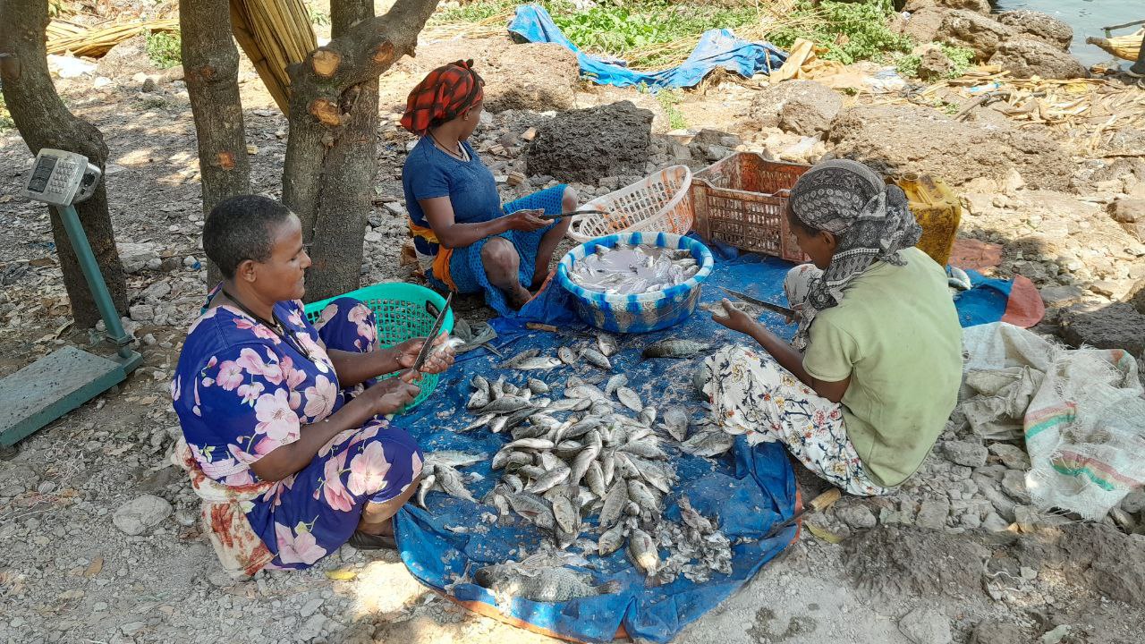 photo 8 2026 03 20 22 01 28