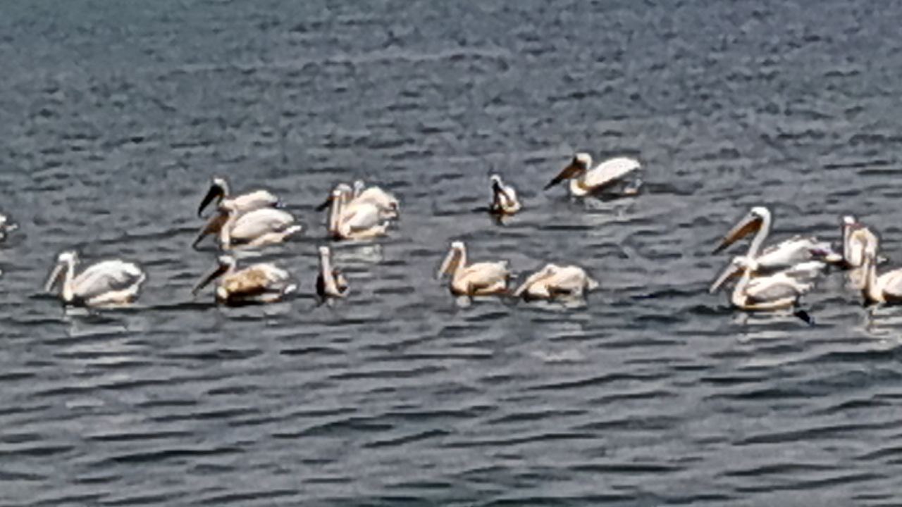 photo 9 2026 03 20 22 01 28